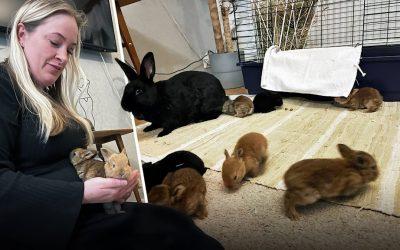 Ett hjärta för de små: Hur du kan bli en livlina för Smådjurschansen